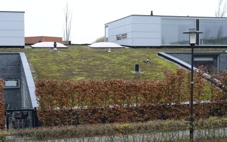 Een groen dak