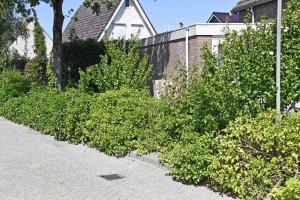 groen en reststroken kopen of huren gemeente middelburg